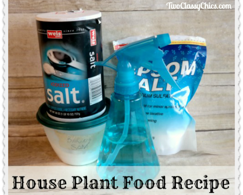 Best Homemade House Plant Food Recipe