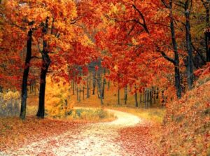 Autumn Fall Season