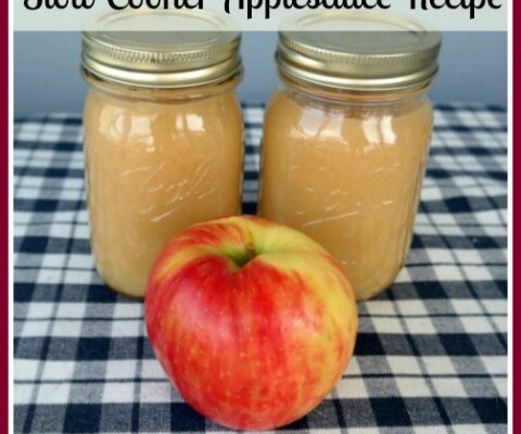 Slow Cooker Cinnamon Applesauce Recipe