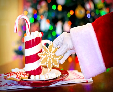 Christmas Santa Plate of Cookies