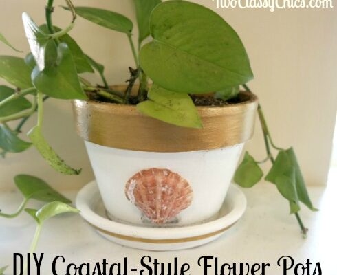 DIY Coastal Style Terracotta Flower Pots