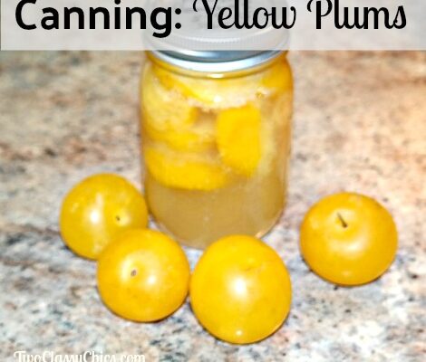 Home Canning: How to Can Fresh Plums