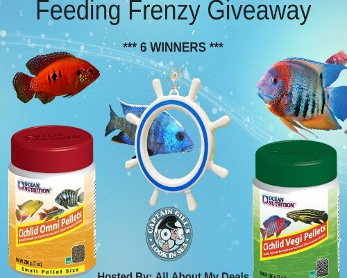 The Feeding Frenzy Giveaway