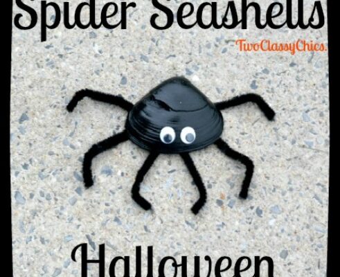 Halloween Craft Project: Painted Black Spider Seashells