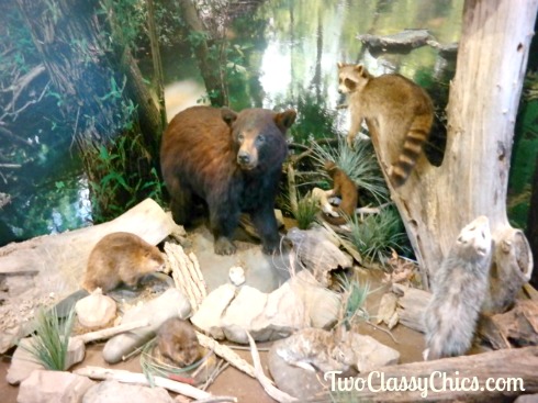 Wildwood Park Olewine Nature Center in Harrisburg, Pennsylvania