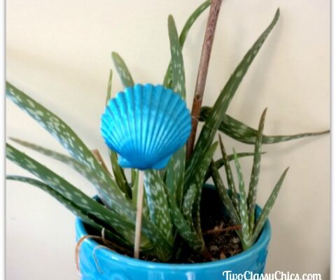 DIY Seashell Plant Picks and Garden Markers