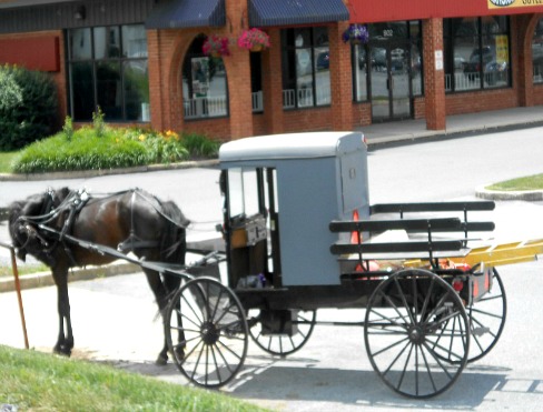 Amish Horse & Buggy in Lancaster County, Pennsylvania