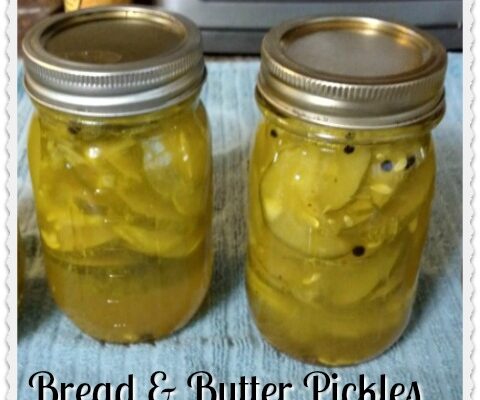 Home Canning: Traditional Bread and Butter Pickles