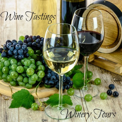 Wine Tasting and Winery Tours