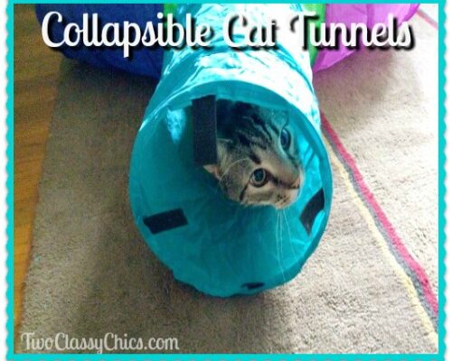 Cat Toys: Interactive and Fun Collapsible Tunnels