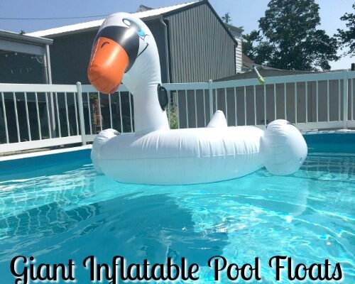 5 Things to Consider When Purchasing Inflatable Ride-On Pool Floats