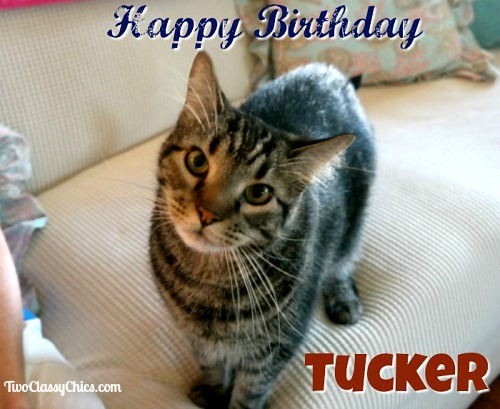 Happy Birthday Tucker