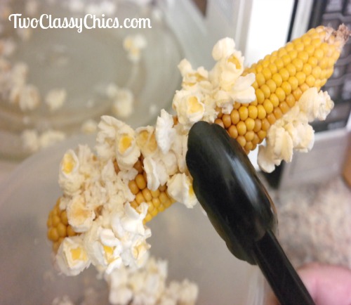 Popping Popcorn While on the Cob