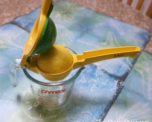 The ZULAY Kitchen Lemon Lime Squeezer