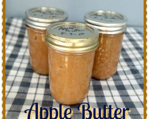 Home Canning Apple Butter with Recipe and Tips