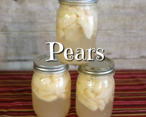 Home Canning Pears with Recipe and Tips