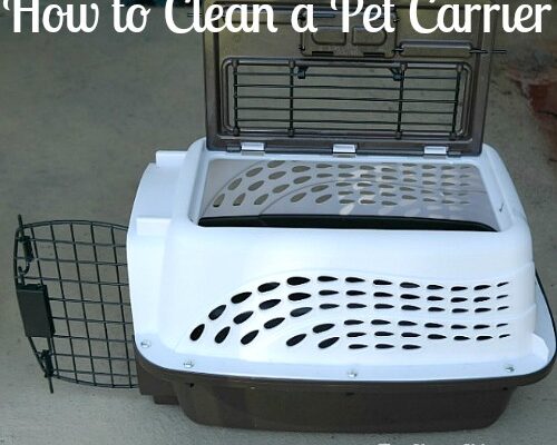 How to Clean Your Pet Carrier and Why You Should Keep it Clean