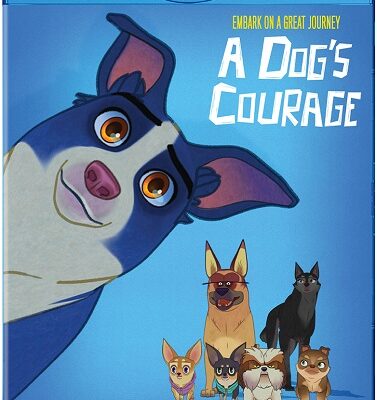 Family Movie Night: A Dog’s Courage