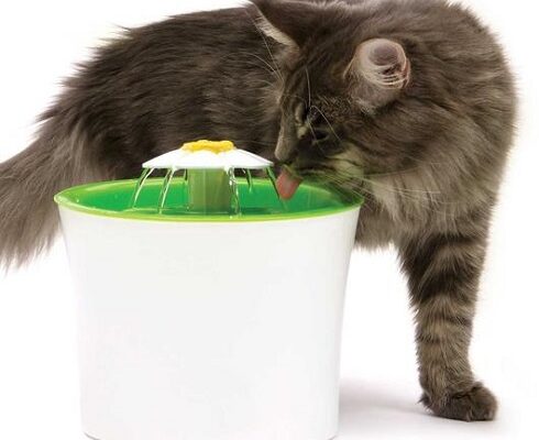 Filtered Water Drinking Fountain from Amazingly Cat