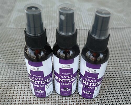 Moisturizing Hand Sanitizer Spray by Guru Nanda