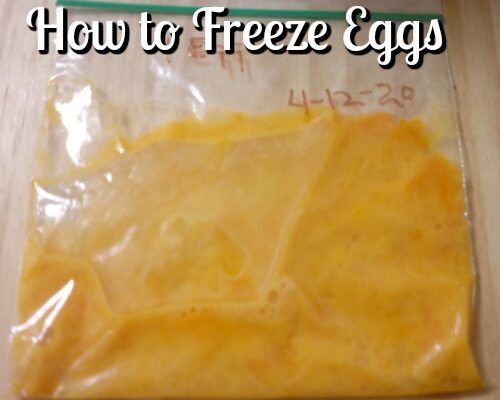 How to Freeze Raw Eggs for Later Use