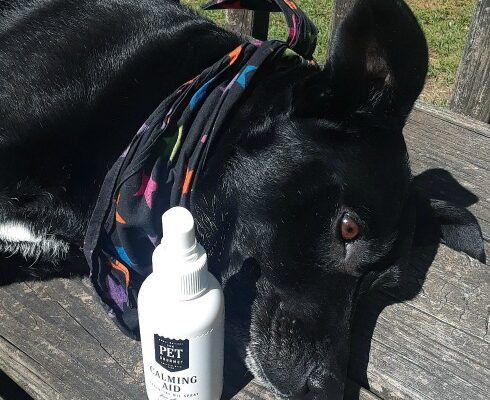 Calming Aid Essential Oil Spray for Dogs from The Pet Gourmet