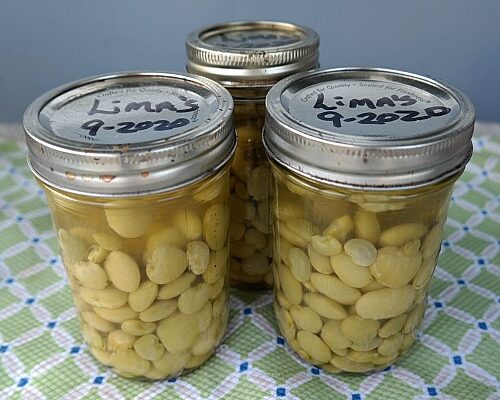 Home Canning Lima Beans with Recipe