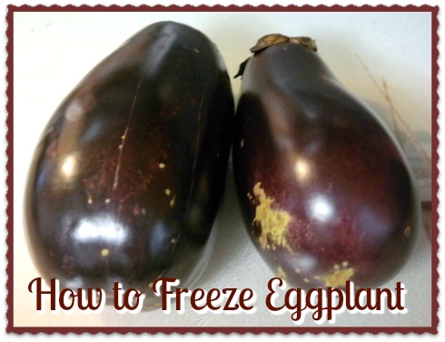 How to Freeze Eggplant