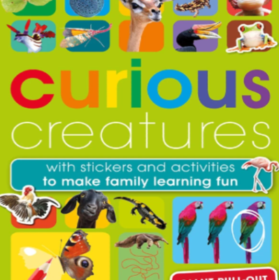 Curious Creatures Stickers and Activities Book for Kids