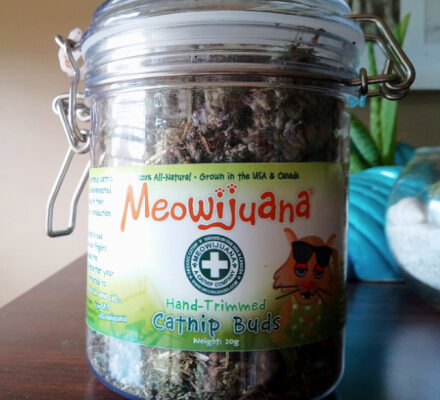 Our Cat Romeo LOVES All-Natural Meowijuana Catnip