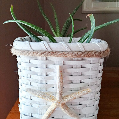 Coastal Houseplant Garden Planter Basket