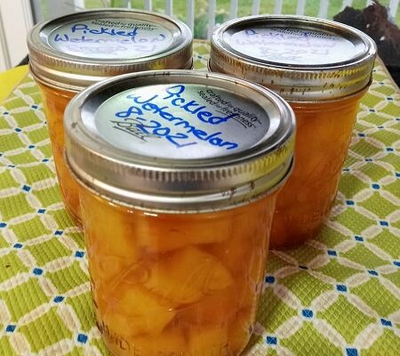Home Canning Watermelon Rind Pickles with Recipe and Tips