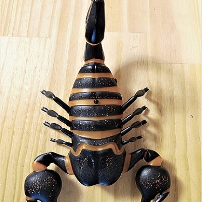 Discovery RC Scorpion Remote Control Pet Creature