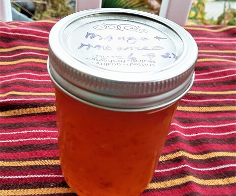 Mango Jam Home Canning Recipe with Tips