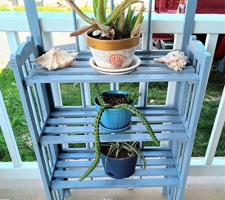 Upcycled Bookshelf Remade into a New Plant Stand