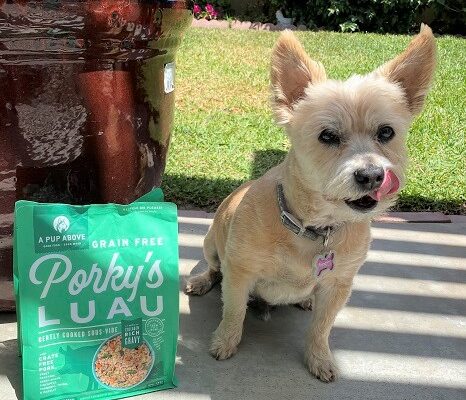 Fresh Dog Food for Your Pooch from A Pup Above