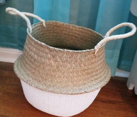 Using Baskets to Organize Pet Supplies and Toys