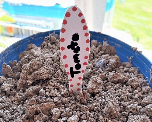 Kid’s Crafts – Wood Sundae Spoon Garden Plant Markers