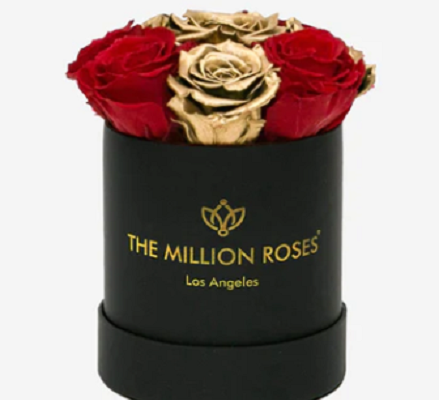 The Million Roses – Beautiful Natural Roses That Last for Years