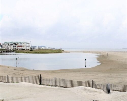 Shelling on the Beaches in North Wildwood