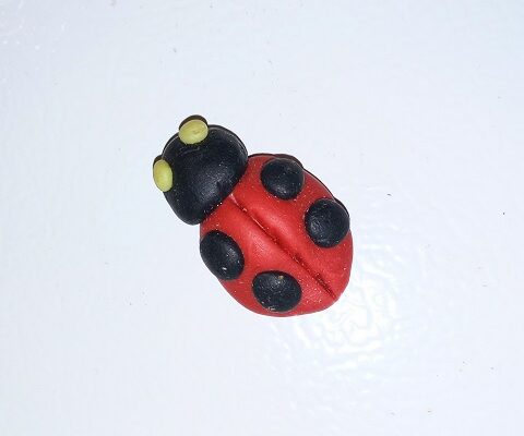 Ladybug Refrigerator Magnets Made with Air Dry Modeling Clay