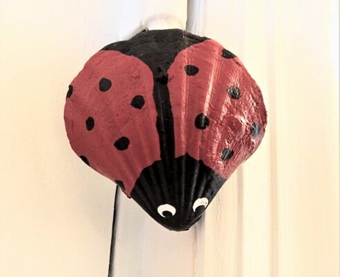 Painted Ladybug Seashell Ornaments