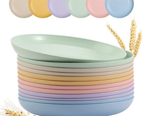 Light-Weight and Durable Wheat Straw Lunch Plates