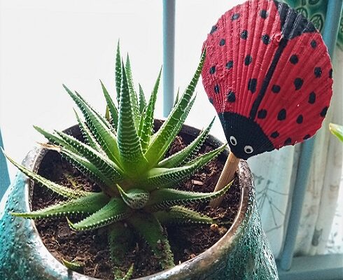 Hand Painted Ladybug Seashell Plant Pick