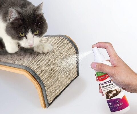 SmartyKat Catnip Mist Spray for Cats and Kittens