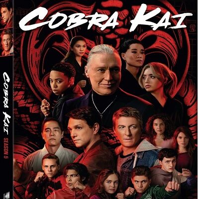 Cobra Kai Season 5 on DVD