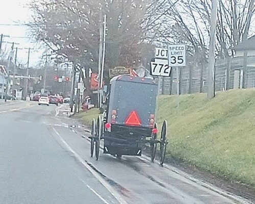 Amish Horse and Buggy and Farmhouses in Lancaster County