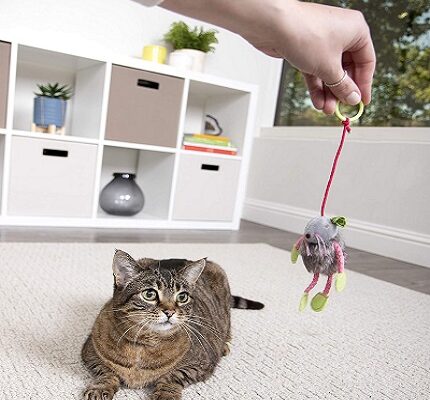 SmartyKat Bouncey Mouse Cat Toy and Catnip Spray