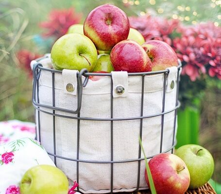 Fall Apple Picking Tips for Family Outings