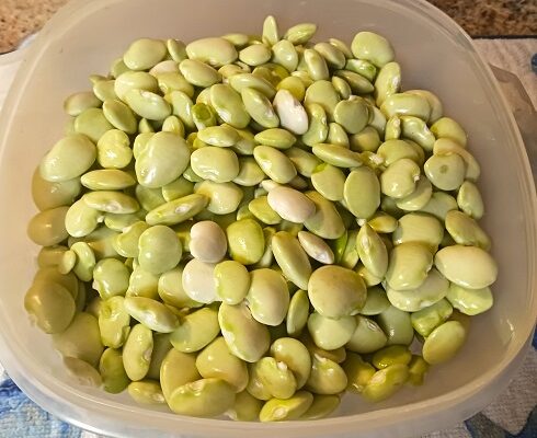 How to Blanch Lima Beans for Freezing